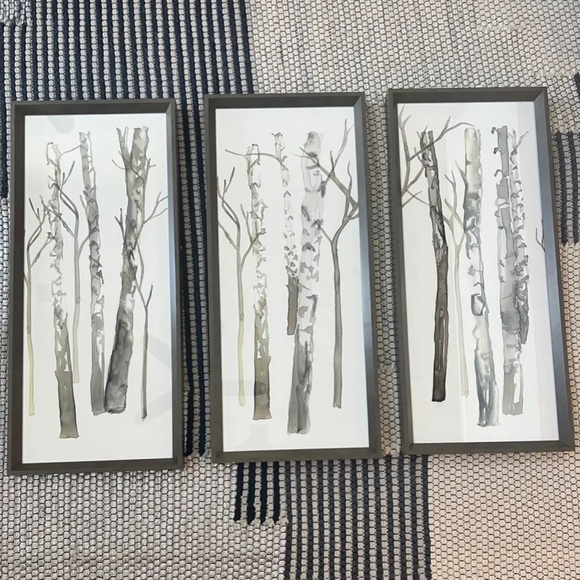 Ballard Designs Fresh Birch Art Print I, II & III - Picture 1 of 6